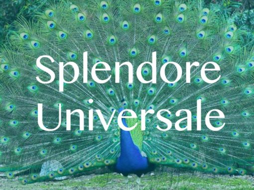 Splendore Universale