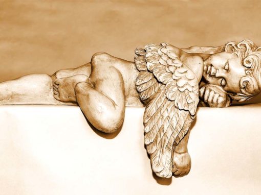 Costellazioni Evolutive