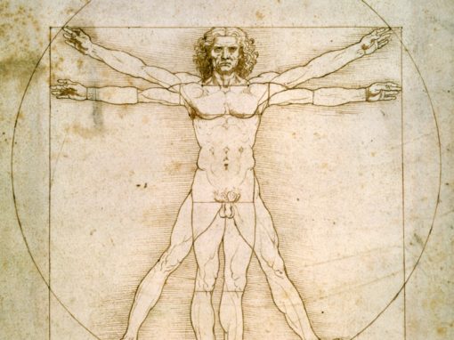 Anatomia e Fisiologia dell’Insieme