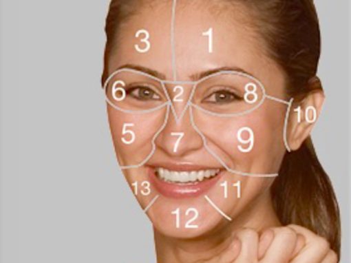 Morfologia Somatica e Linguaggio del Corpo