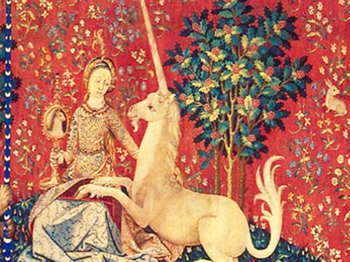 Metodologia della Relazione