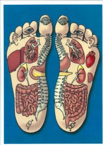Mappa Riflessologia Plantare