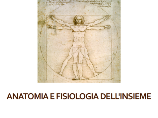 Anatomia e Fisiologia dell’Insieme