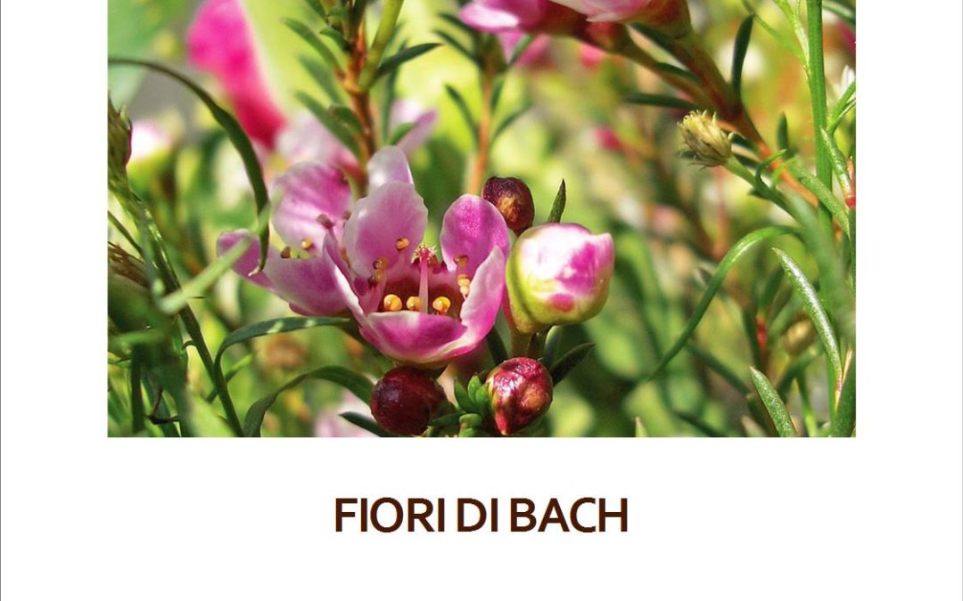 Fiori di Bach