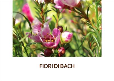 Fiori di Bach