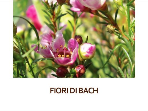 Fiori di Bach