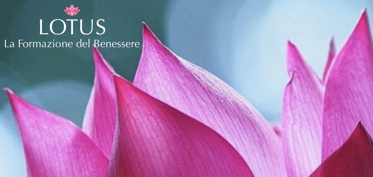 HOMEPAGE LOTUS